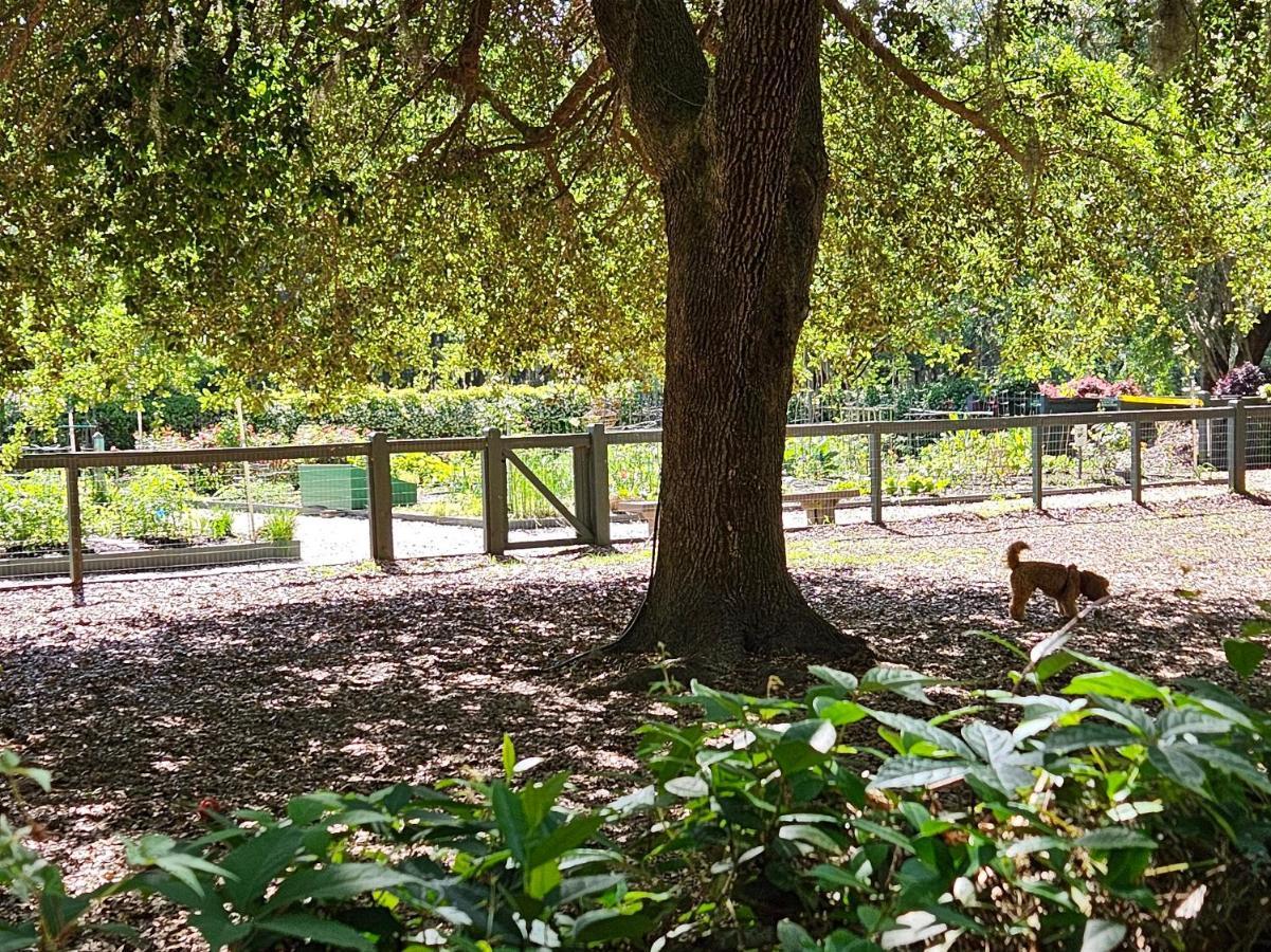 Low Country Cottage In Beautiful Habersham ビューフォート エクステリア 写真