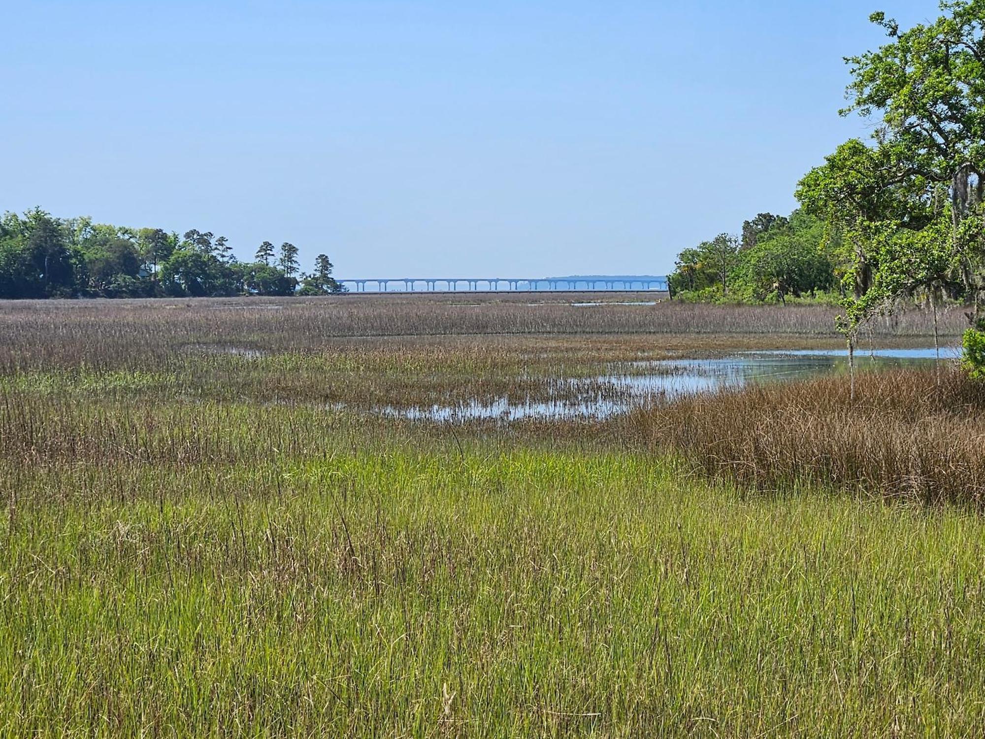 Low Country Cottage In Beautiful Habersham ビューフォート エクステリア 写真