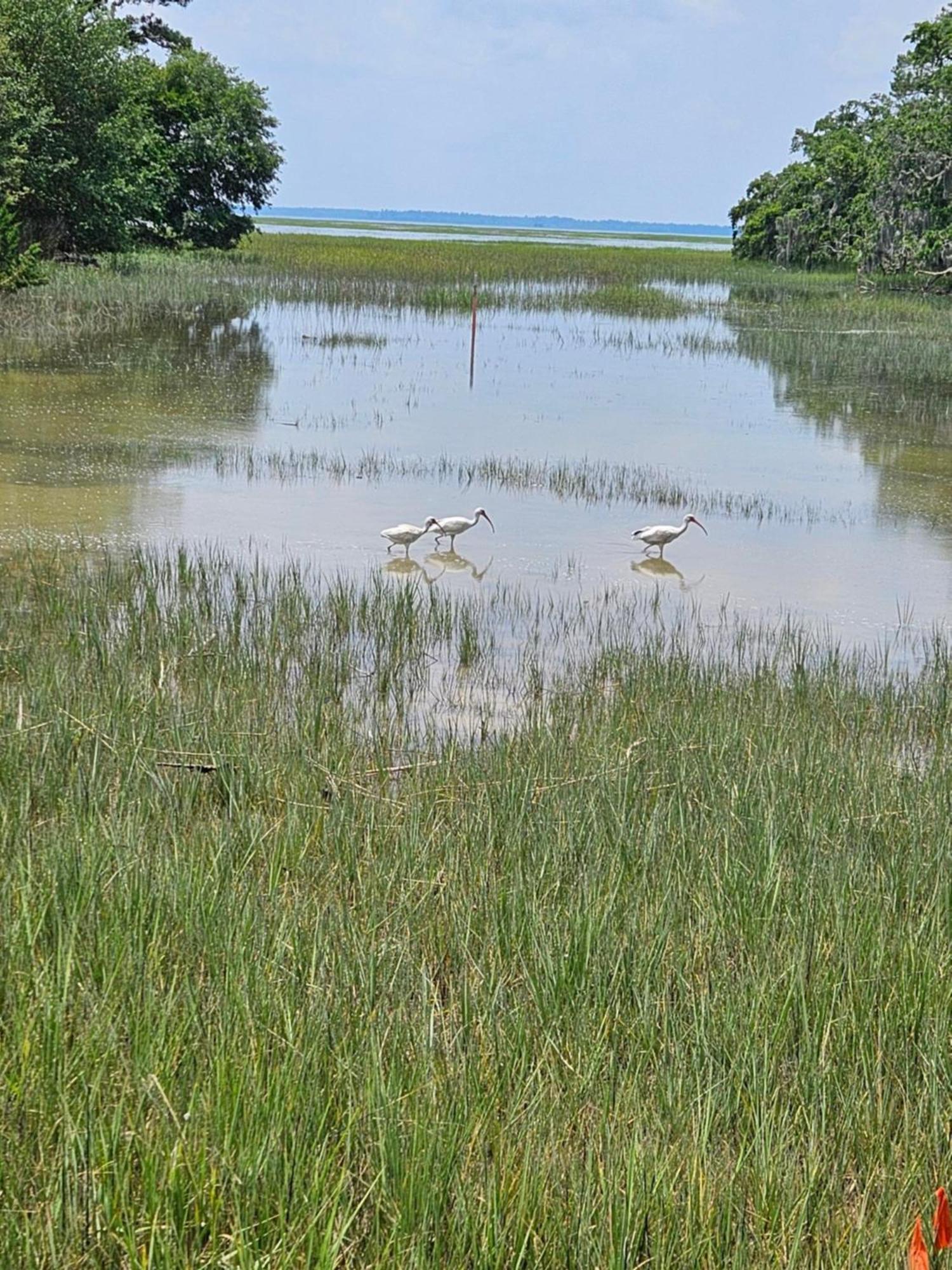 Low Country Cottage In Beautiful Habersham ビューフォート エクステリア 写真