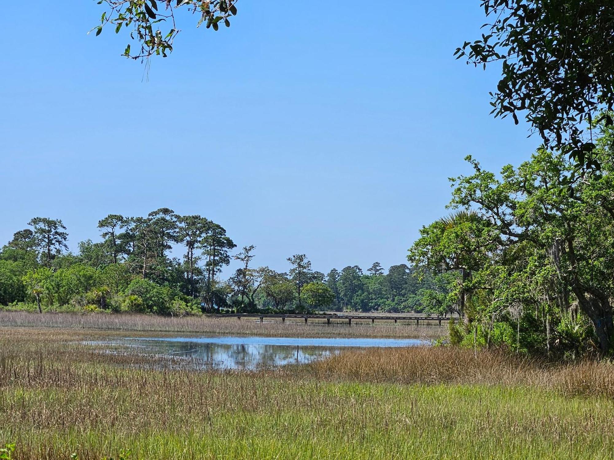 Low Country Cottage In Beautiful Habersham ビューフォート エクステリア 写真